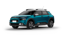 C4 Cactus